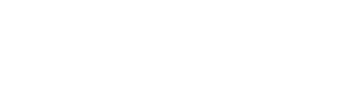 Formula SAE Brasil 2025